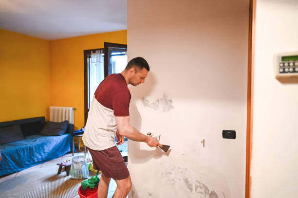 Best Post-Remediation Services in Belle Meade, TN